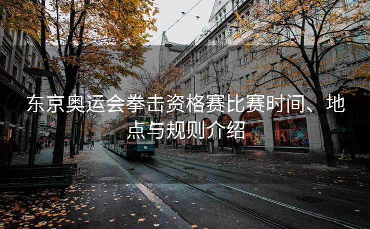 东京奥运会拳击资格赛比赛时间、地点与规则介绍