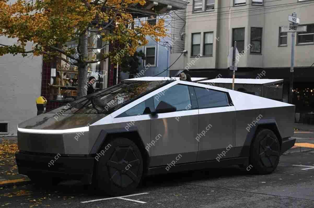 能当船用、螃蟹式行驶？马斯克对Cybertruck的五大承诺全都落空