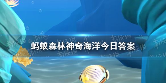 玻璃海绵与玳瑁还是俪虾共生?神奇海洋11月26日答案最新 玻璃海绵与玳瑁还是俪虾共生?神奇海洋11月26日答案最新