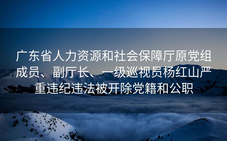 广东省人力资源和社会保障厅原党组成员、副厅长、一级巡视员杨红山严重违纪违法被开除党籍和公职