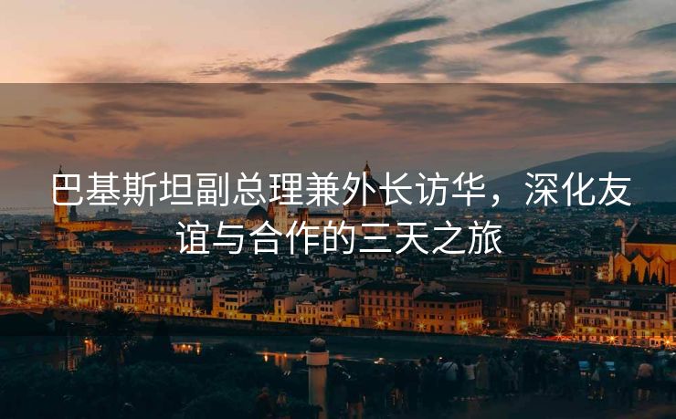 巴基斯坦副总理兼外长访华，深化友谊与合作的三天之旅
