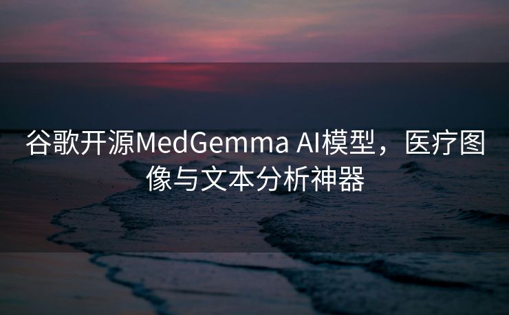 谷歌开源MedGemma AI模型，医疗图像与文本分析神器