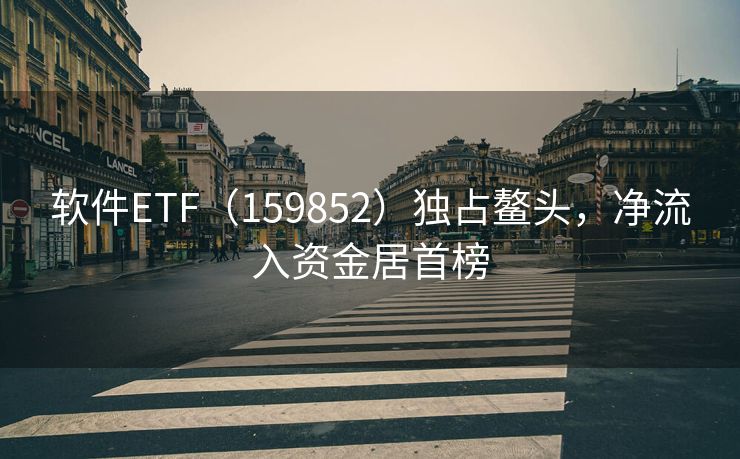 软件ETF（159852）独占鳌头，净流入资金居首榜