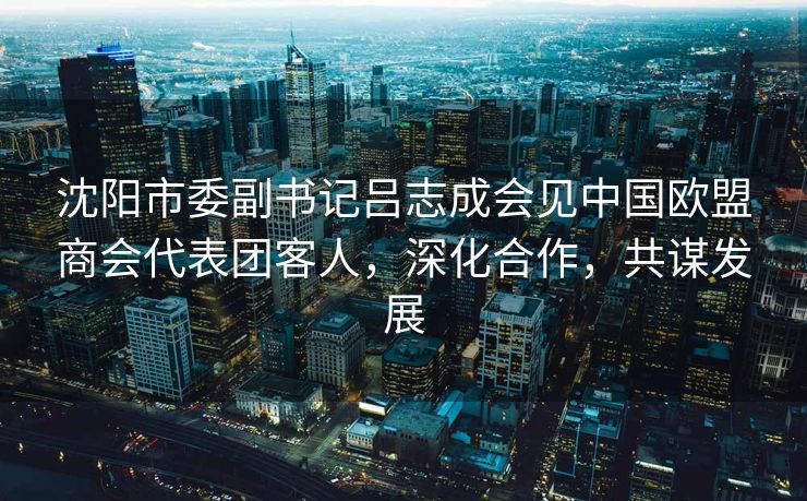 沈阳市委副书记吕志成会见中国欧盟商会代表团客人，深化合作，共谋发展