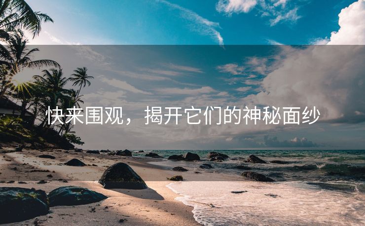 快来围观，揭开它们的神秘面纱
