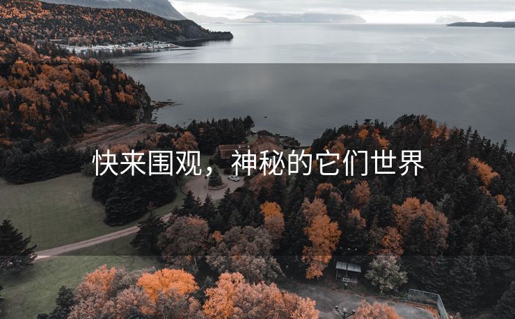 快来围观，神秘的它们世界