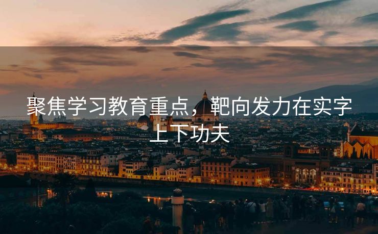 聚焦学习教育重点，靶向发力在实字上下功夫