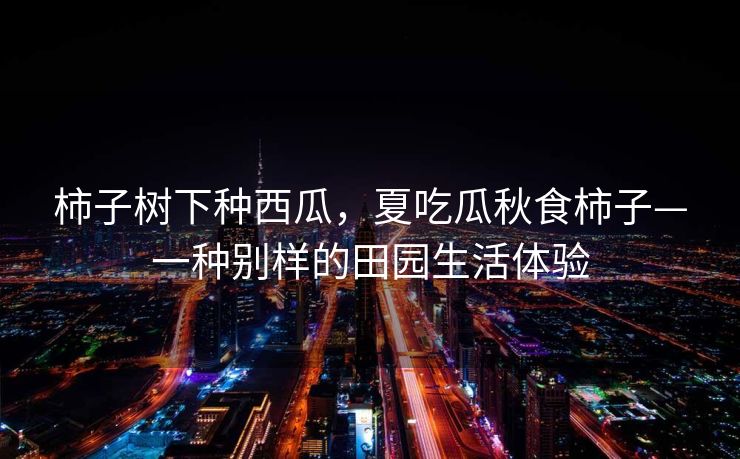 柿子树下种西瓜，夏吃瓜秋食柿子—一种别样的田园生活体验