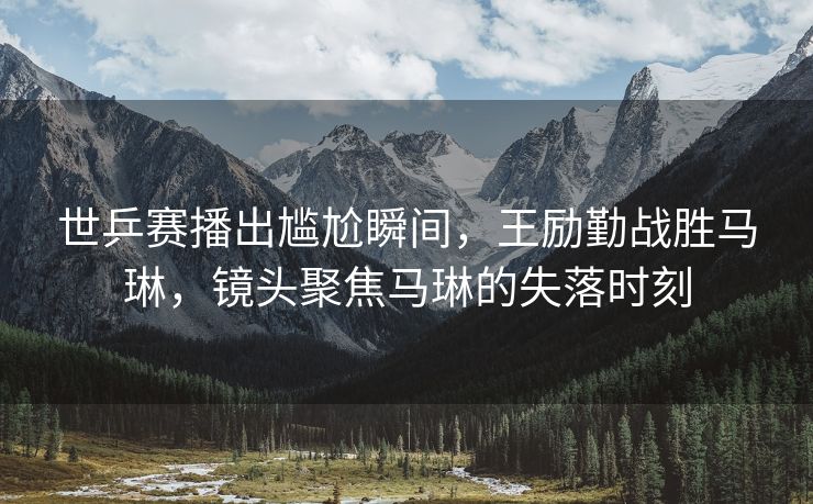 世乒赛播出尴尬瞬间，王励勤战胜马琳，镜头聚焦马琳的失落时刻