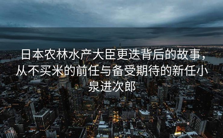 日本农林水产大臣更迭背后的故事，从不买米的前任与备受期待的新任小泉进次郎