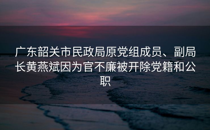 广东韶关市民政局原党组成员、副局长黄燕斌因为官不廉被开除党籍和公职