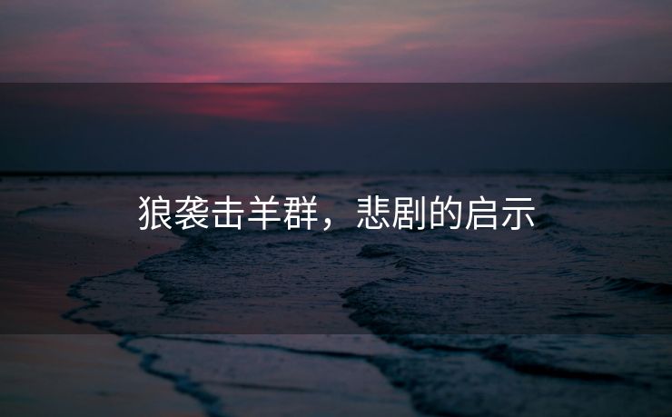 狼袭击羊群，悲剧的启示