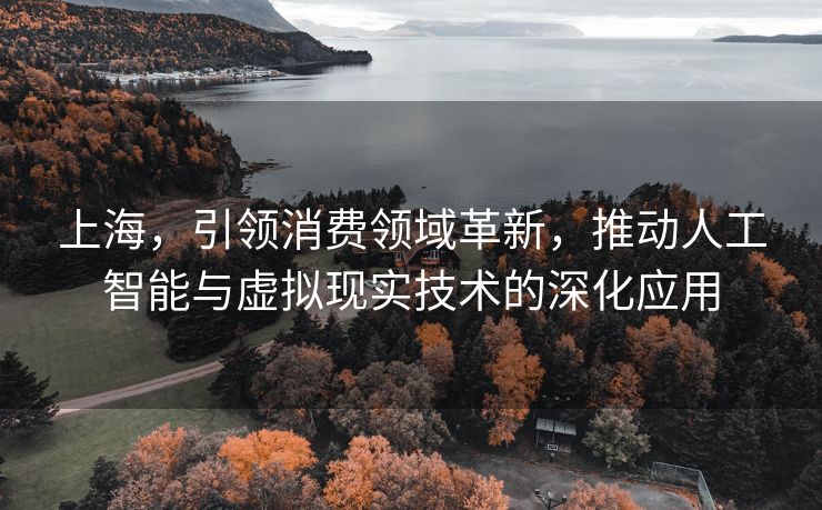 上海，引领消费领域革新，推动人工智能与虚拟现实技术的深化应用