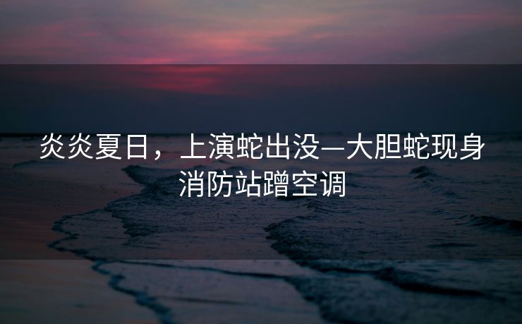 炎炎夏日，上演蛇出没—大胆蛇现身消防站蹭空调