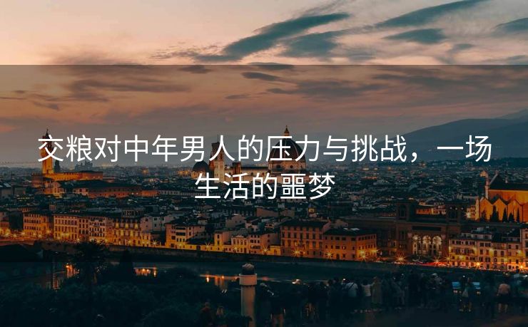 交粮对中年男人的压力与挑战，一场生活的噩梦