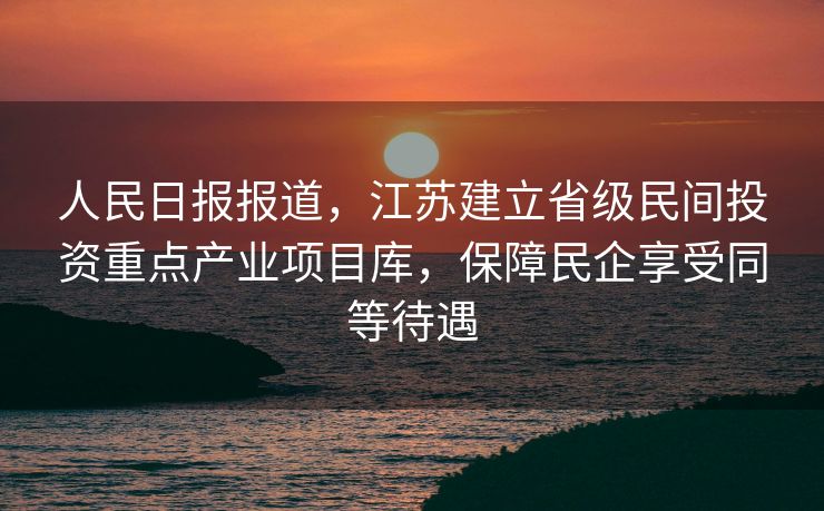 人民日报报道，江苏建立省级民间投资重点产业项目库，保障民企享受同等待遇