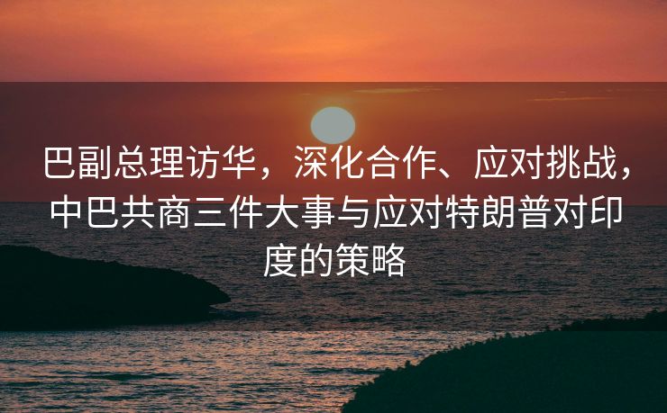 巴副总理访华，深化合作、应对挑战，中巴共商三件大事与应对特朗普对印度的策略