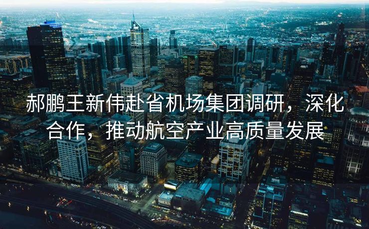 郝鹏王新伟赴省机场集团调研，深化合作，推动航空产业高质量发展