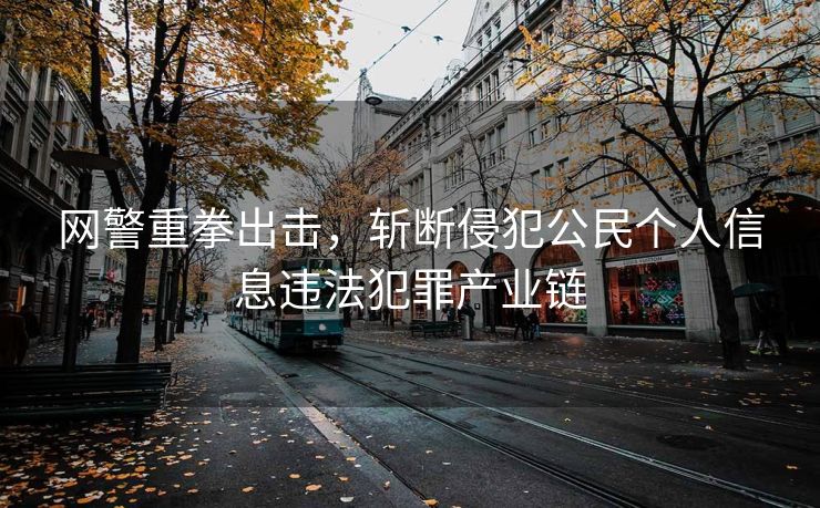 网警重拳出击，斩断侵犯公民个人信息违法犯罪产业链