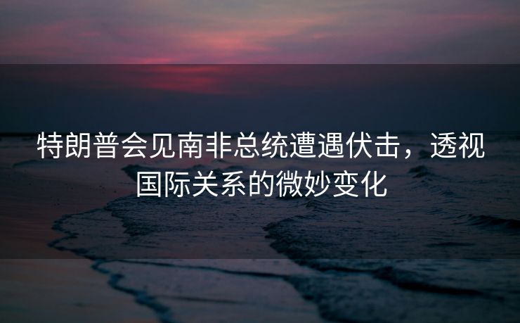 特朗普会见南非总统遭遇伏击，透视国际关系的微妙变化