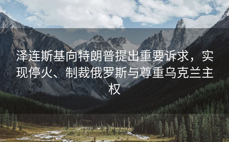 泽连斯基向特朗普提出重要诉求，实现停火、制裁俄罗斯与尊重乌克兰主权