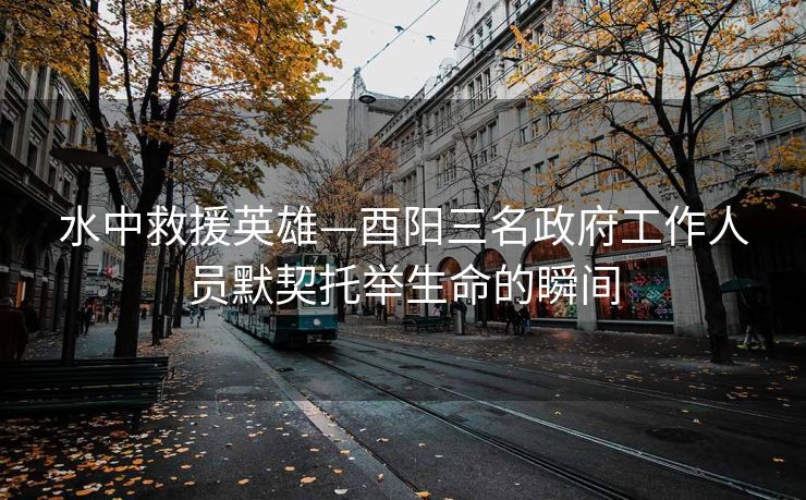 水中救援英雄—酉阳三名政府工作人员默契托举生命的瞬间