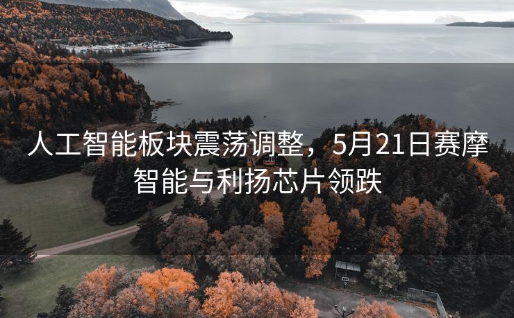 人工智能板块震荡调整，5月21日赛摩智能与利扬芯片领跌