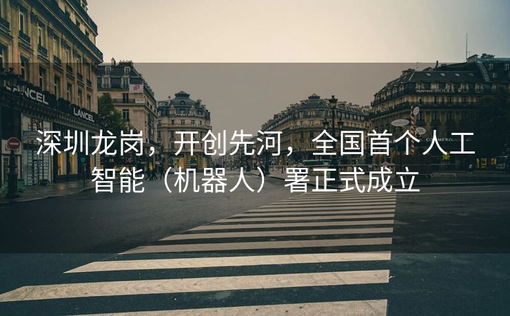 深圳龙岗，开创先河，全国首个人工智能（机器人）署正式成立