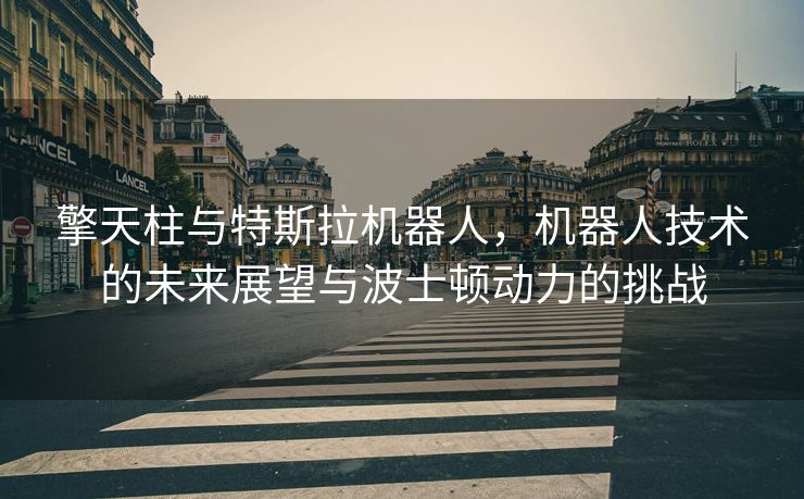 擎天柱与特斯拉机器人，机器人技术的未来展望与波士顿动力的挑战