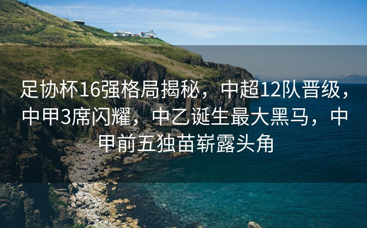 足协杯16强格局揭秘，中超12队晋级，中甲3席闪耀，中乙诞生最大黑马，中甲前五独苗崭露头角