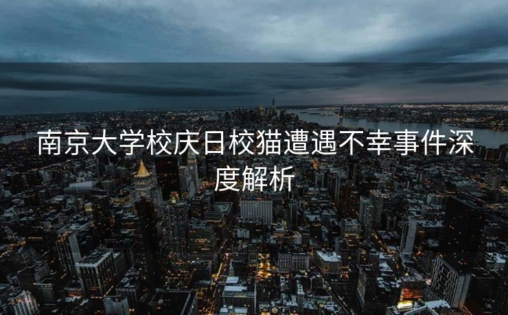 南京大学校庆日校猫遭遇不幸事件深度解析