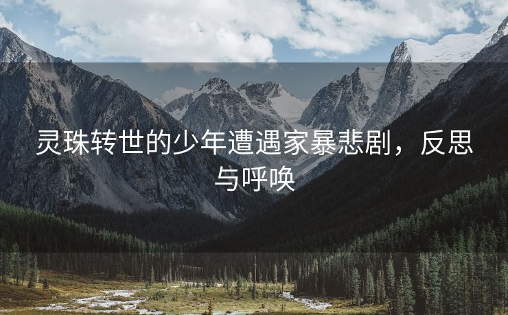 灵珠转世的少年遭遇家暴悲剧，反思与呼唤