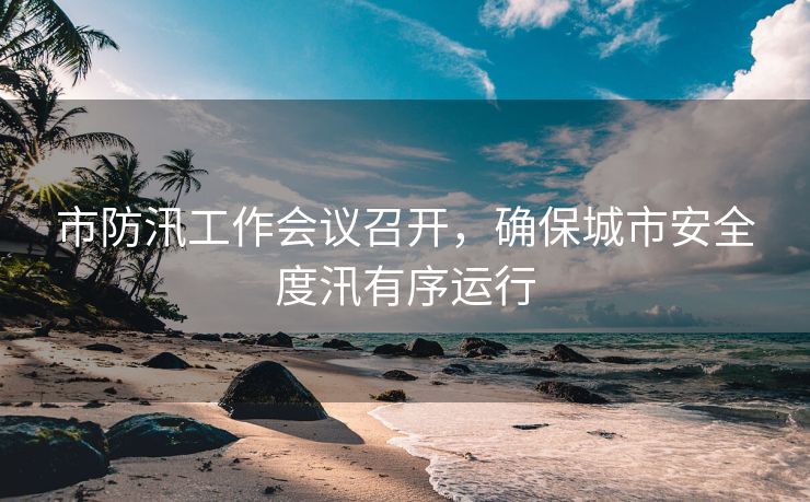 市防汛工作会议召开，确保城市安全度汛有序运行