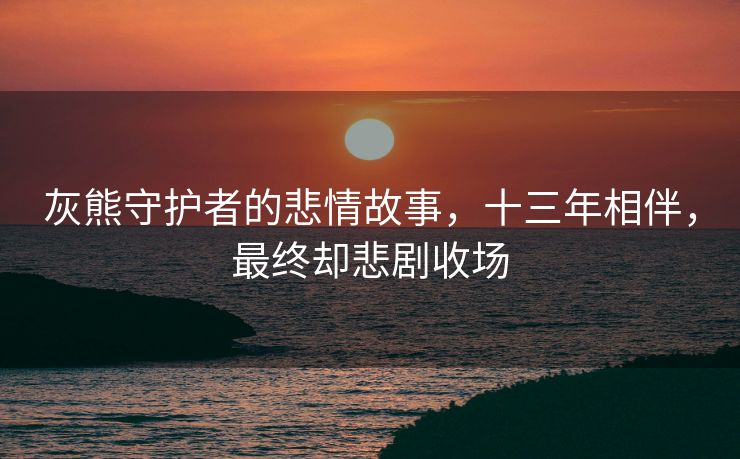 灰熊守护者的悲情故事，十三年相伴，最终却悲剧收场