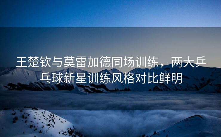 王楚钦与莫雷加德同场训练，两大乒乓球新星训练风格对比鲜明