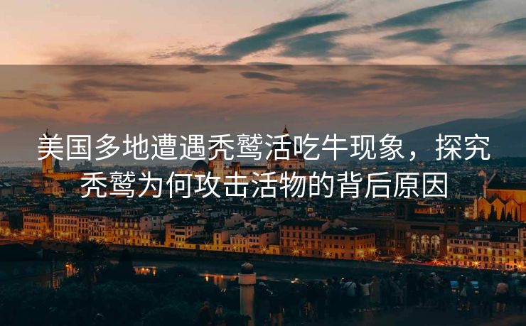 美国多地遭遇秃鹫活吃牛现象，探究秃鹫为何攻击活物的背后原因