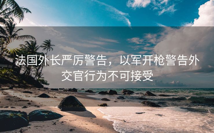 法国外长严厉警告，以军开枪警告外交官行为不可接受