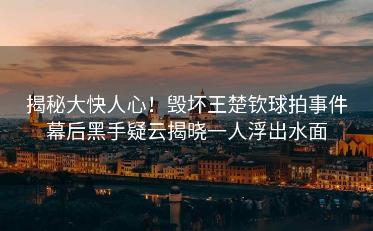 揭秘大快人心！毁坏王楚钦球拍事件幕后黑手疑云揭晓一人浮出水面