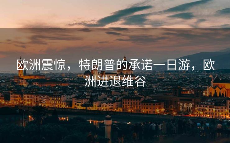 欧洲震惊，特朗普的承诺一日游，欧洲进退维谷