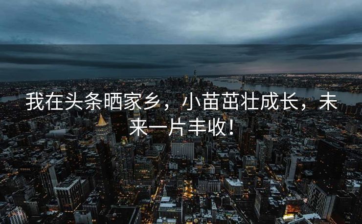 我在头条晒家乡，小苗茁壮成长，未来一片丰收！