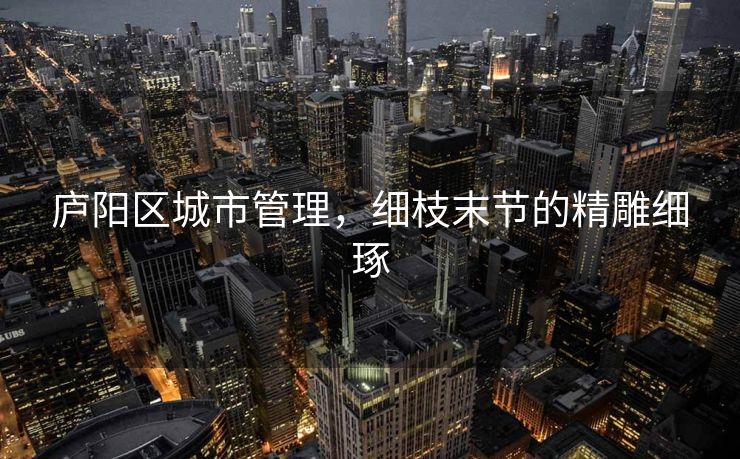 庐阳区城市管理，细枝末节的精雕细琢