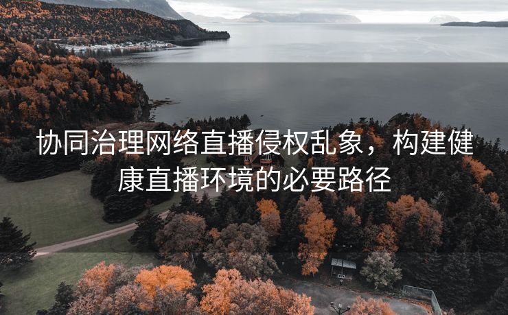 协同治理网络直播侵权乱象，构建健康直播环境的必要路径