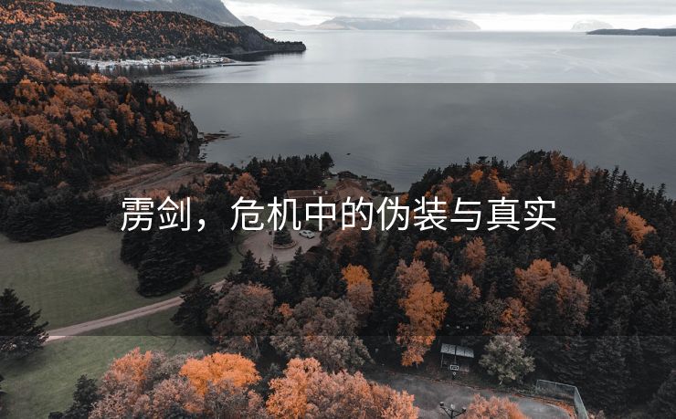 雳剑，危机中的伪装与真实