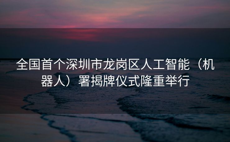 全国首个深圳市龙岗区人工智能（机器人）署揭牌仪式隆重举行