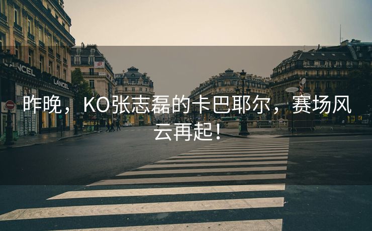 昨晚，KO张志磊的卡巴耶尔，赛场风云再起！
