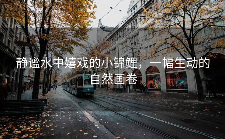 静谧水中嬉戏的小锦鲤，一幅生动的自然画卷