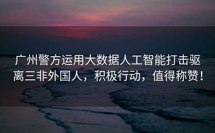 广州警方运用大数据人工智能打击驱离三非外国人，积极行动，值得称赞！