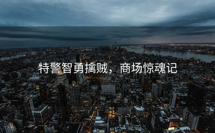特警智勇擒贼，商场惊魂记