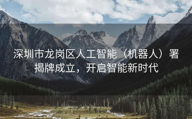 深圳市龙岗区人工智能（机器人）署揭牌成立，开启智能新时代
