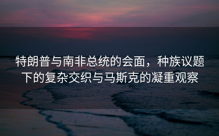 特朗普与南非总统的会面，种族议题下的复杂交织与马斯克的凝重观察